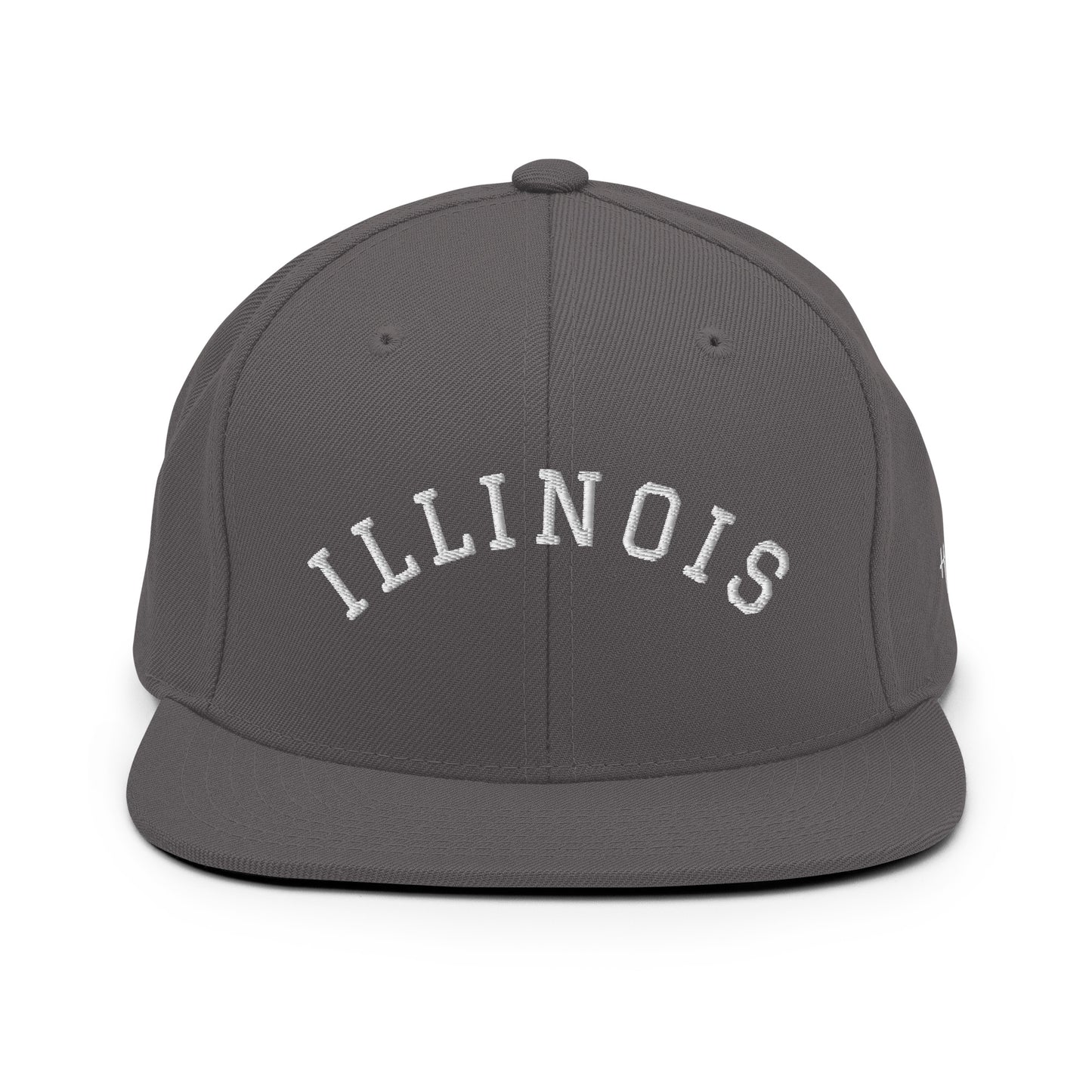 Illinois Arch 6 Panel Snapback Hat