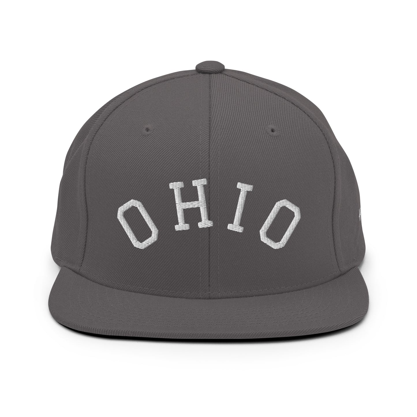 Ohio Arch 6 Panel Snapback Hat