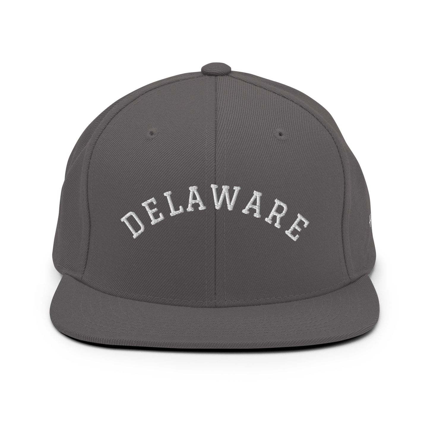 Delaware Arch 6 Panel Snapback Hat