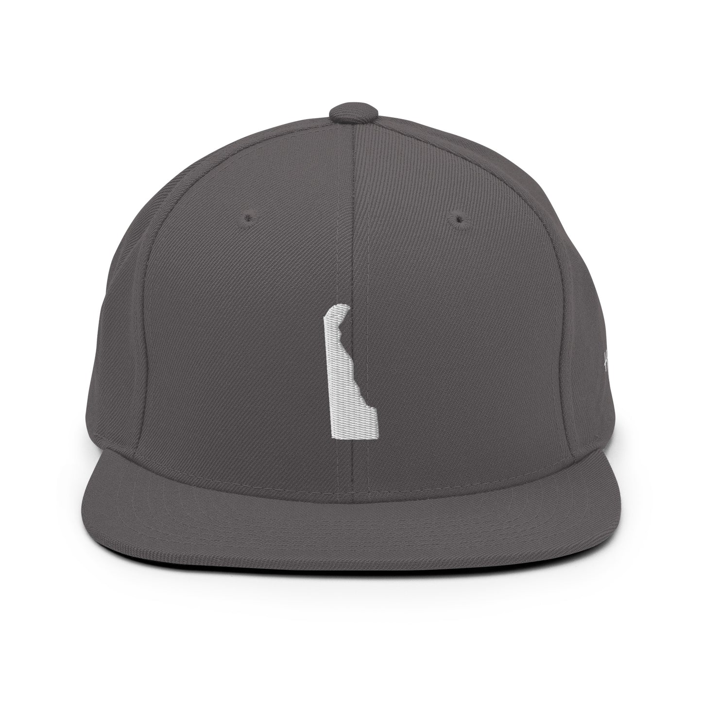 Delaware State Silhouette 6 Panel Snapback Hat