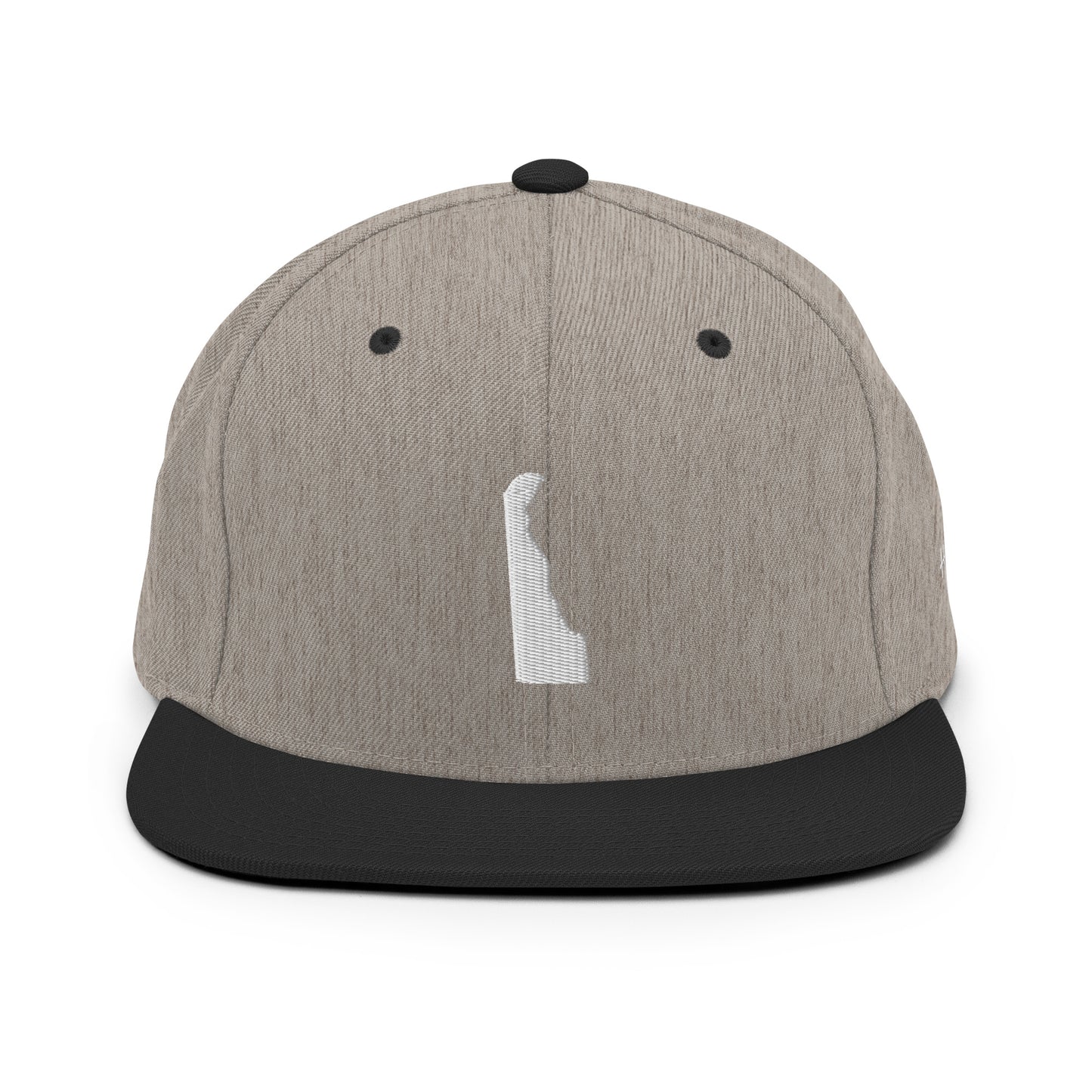 Delaware State Silhouette 6 Panel Snapback Hat