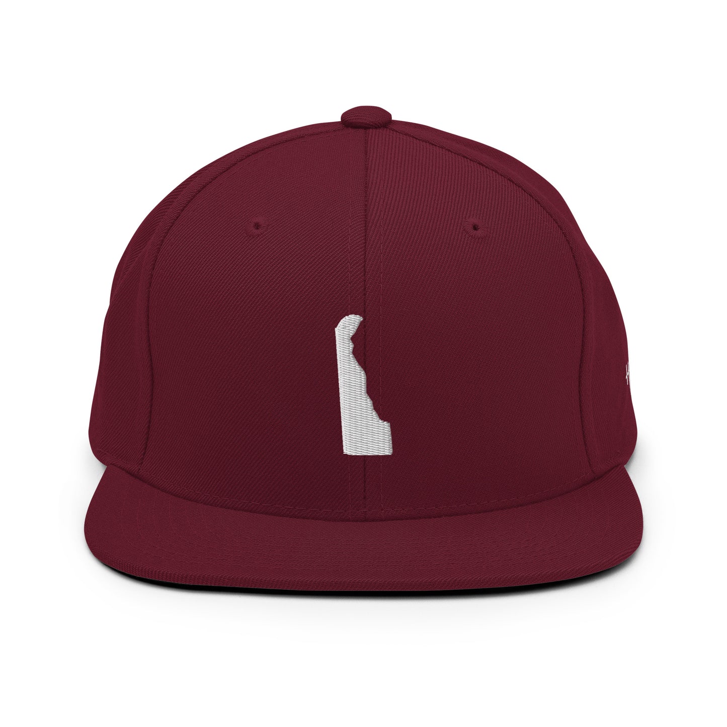 Delaware State Silhouette 6 Panel Snapback Hat
