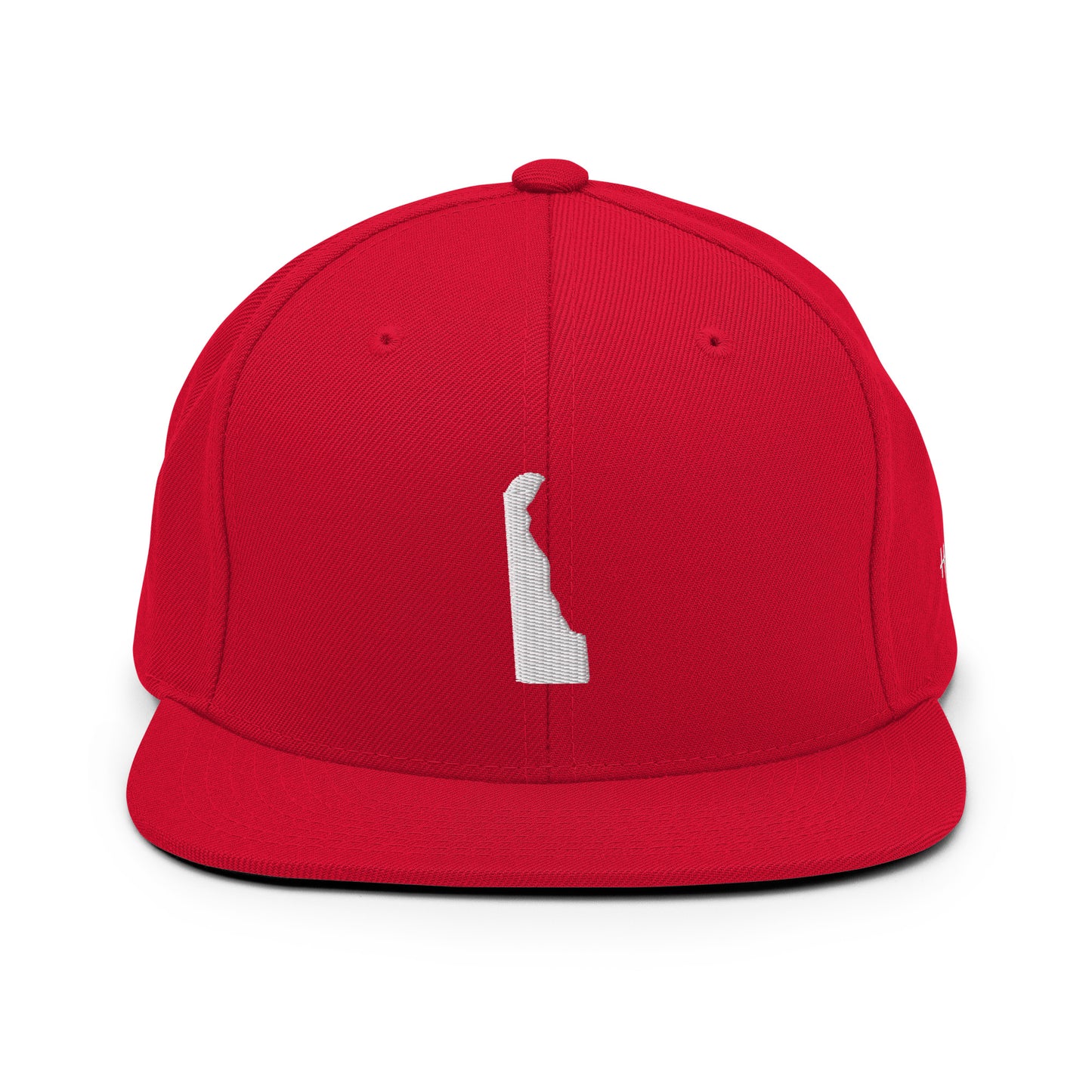 Delaware State Silhouette 6 Panel Snapback Hat