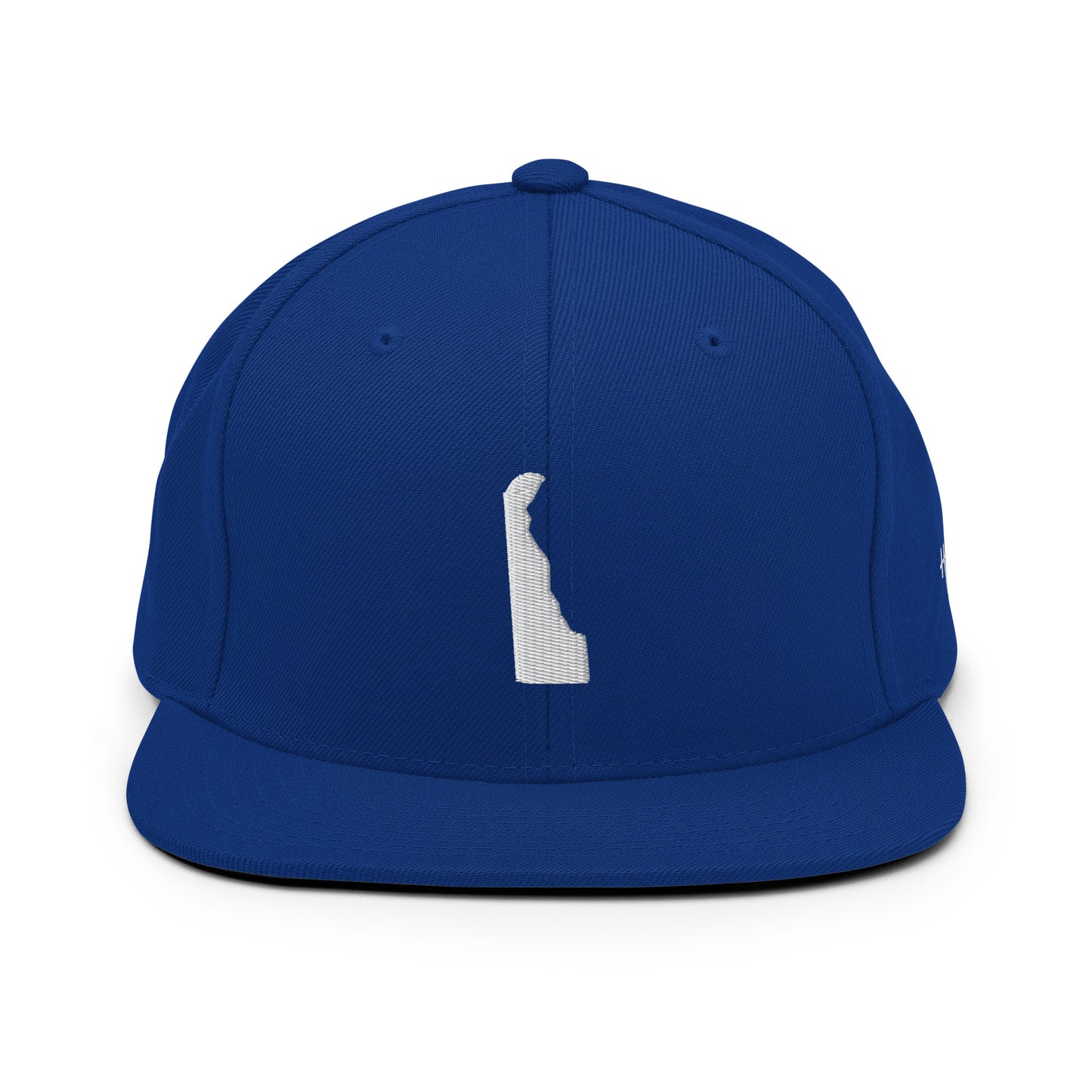 Delaware State Silhouette 6 Panel Snapback Hat