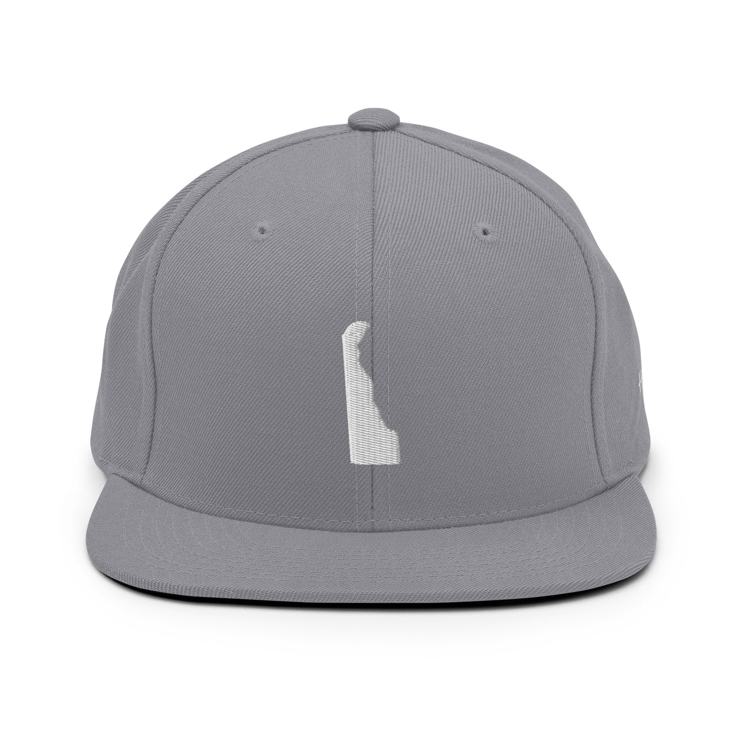 Delaware State Silhouette 6 Panel Snapback Hat