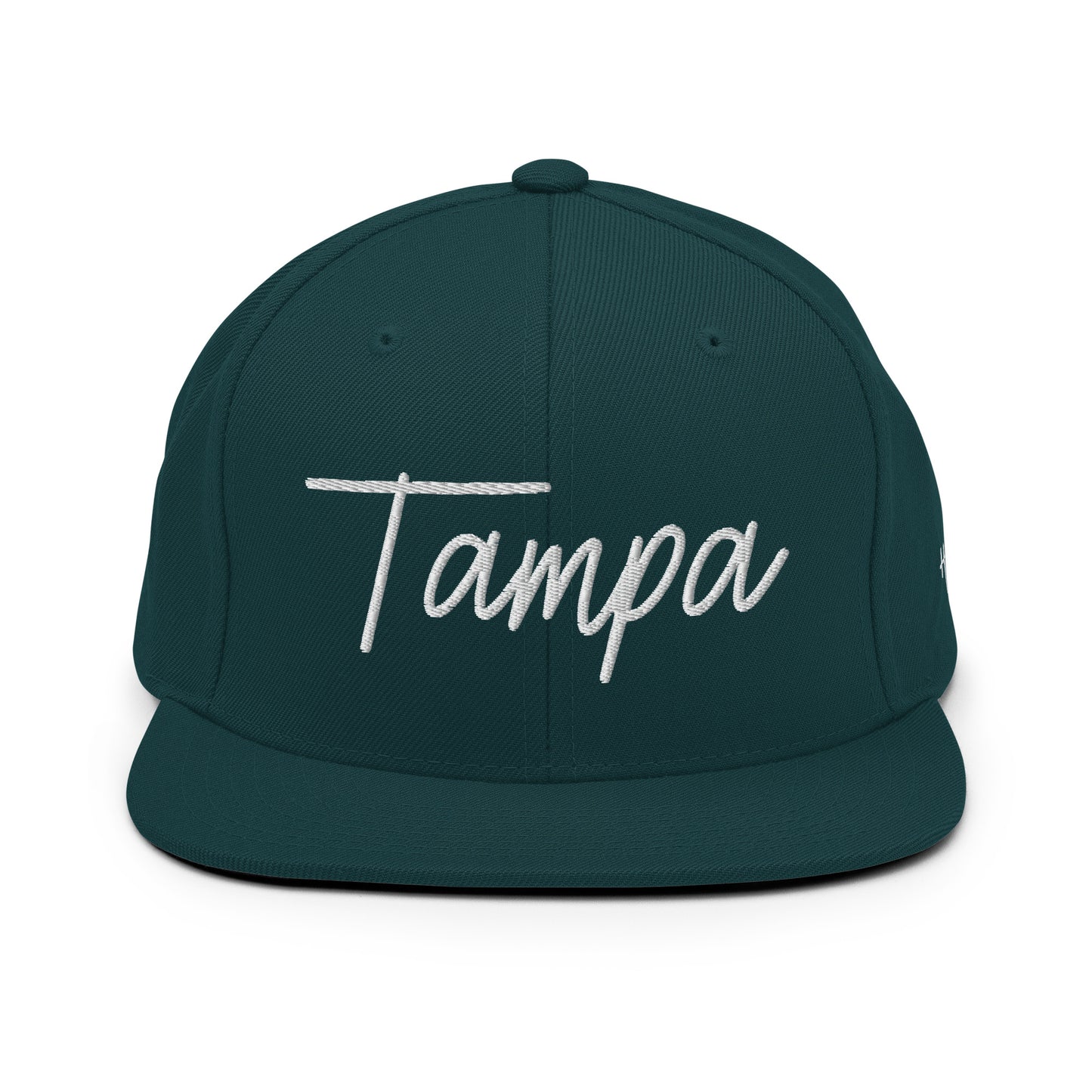 Tampa Retro Script 6 Panel Snapback Hat