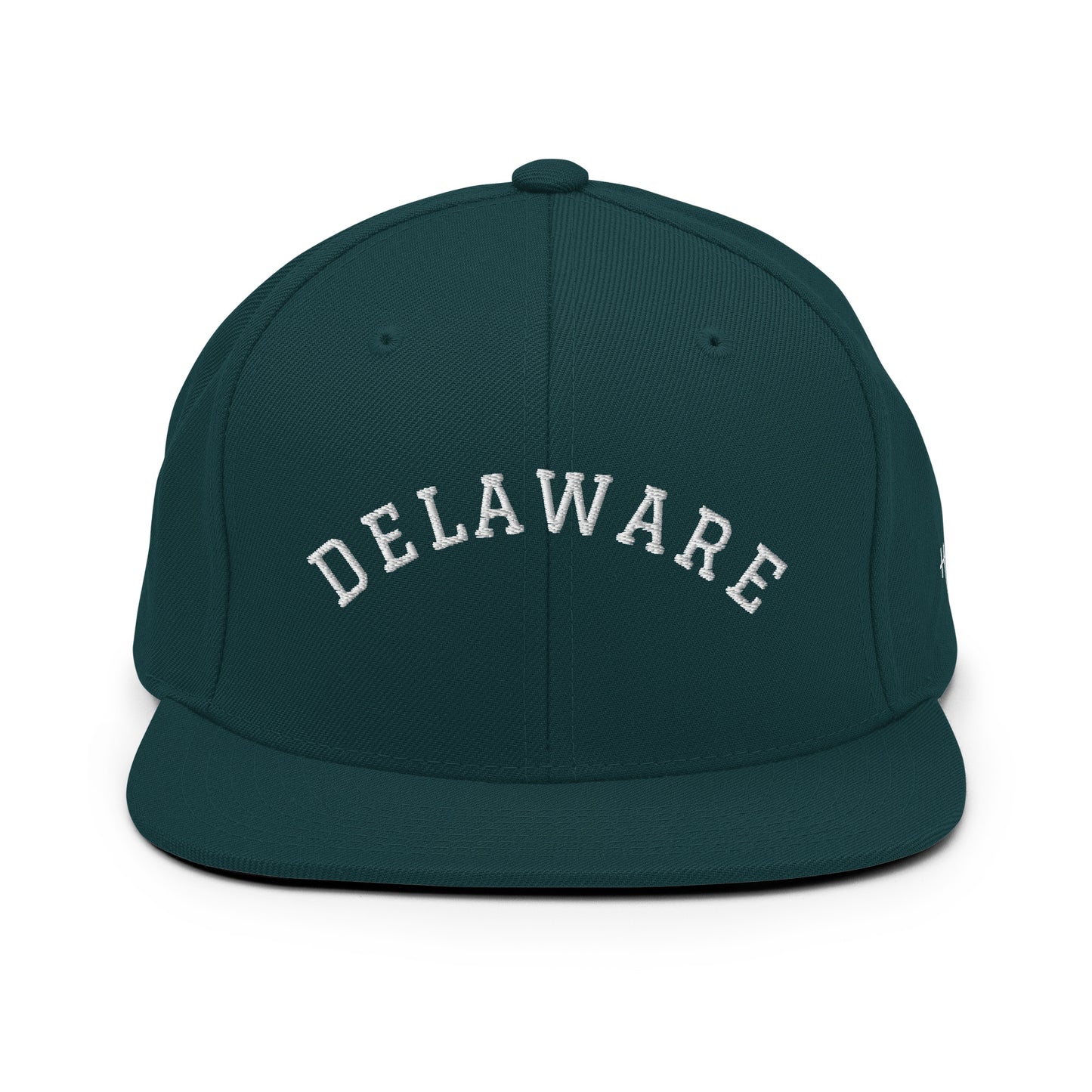Delaware Arch 6 Panel Snapback Hat
