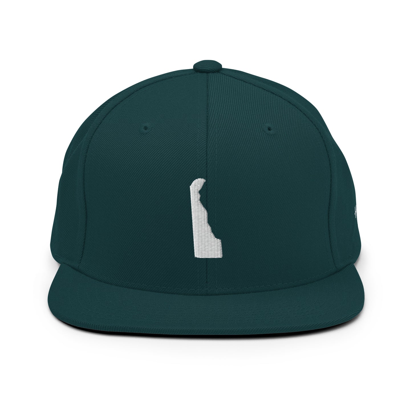 Delaware State Silhouette 6 Panel Snapback Hat