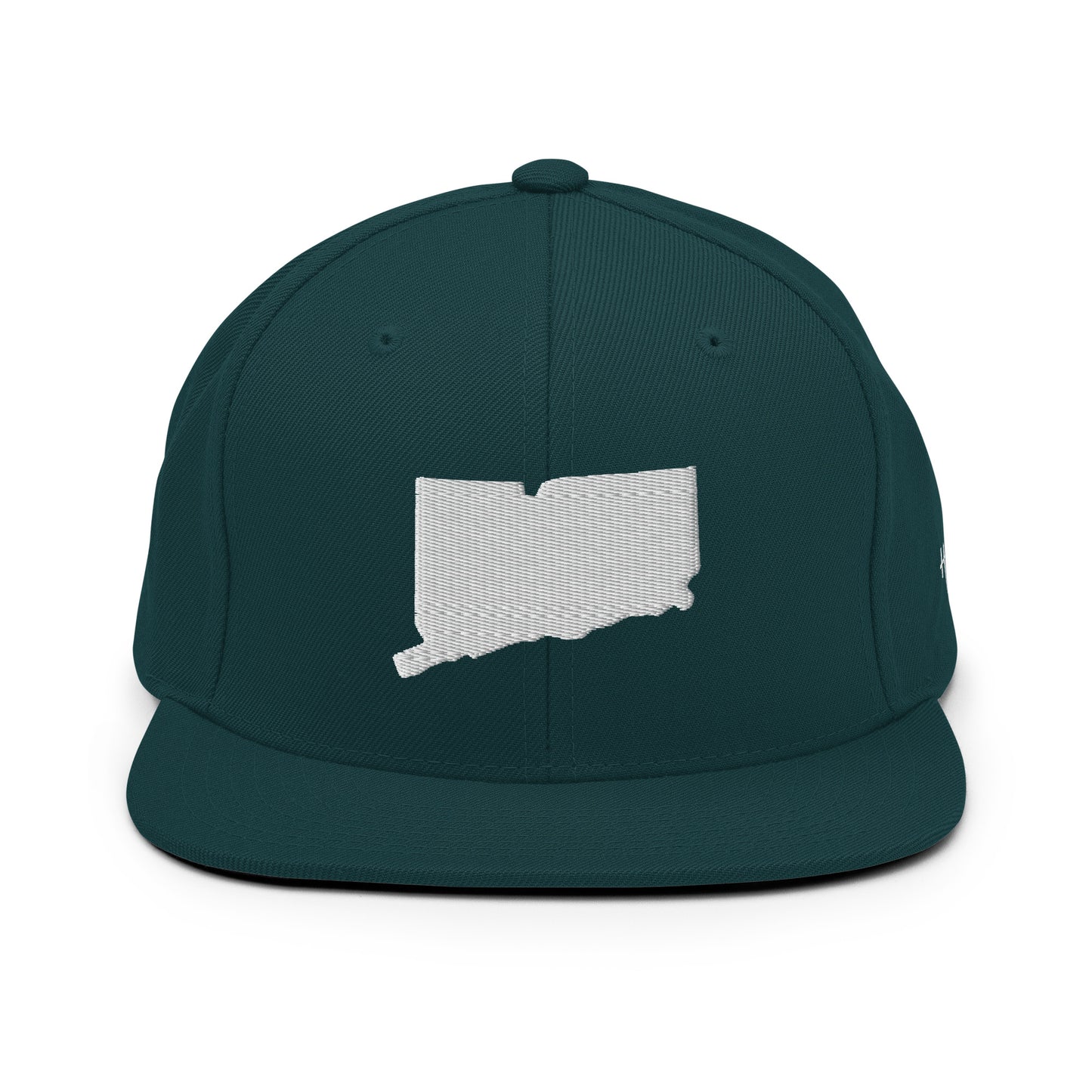 Connecticut State Silhouette 6 Panel Snapback Hat