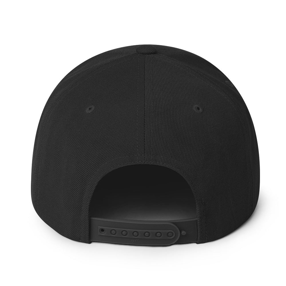 Miami Arch 6 Panel Snapback Hat